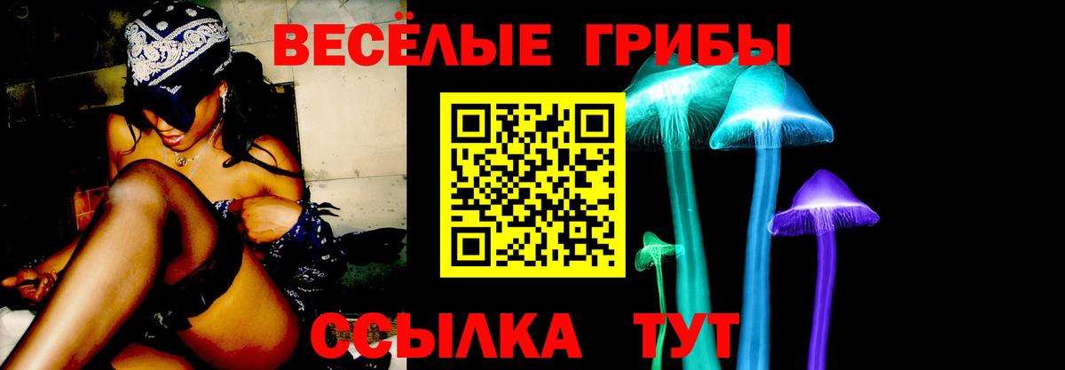 Псилоцибиновые грибы Psilocybine cubensis  Галлюциногенные грибы Psilocybe  Когалым  Вход с VPN 